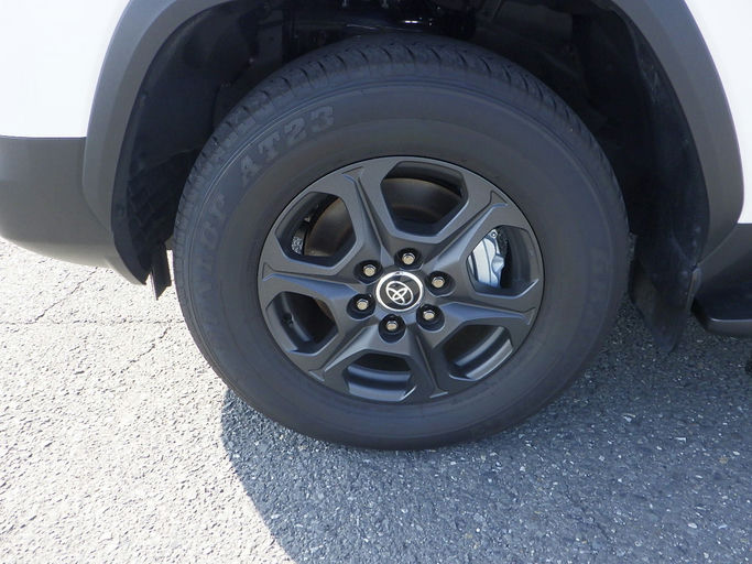  Land Cruiser 300 series photo 10