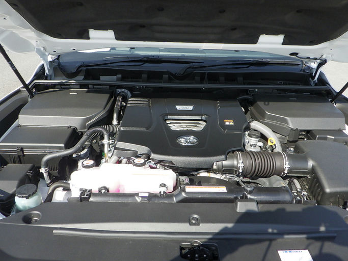  Land Cruiser 300 series photo 9
